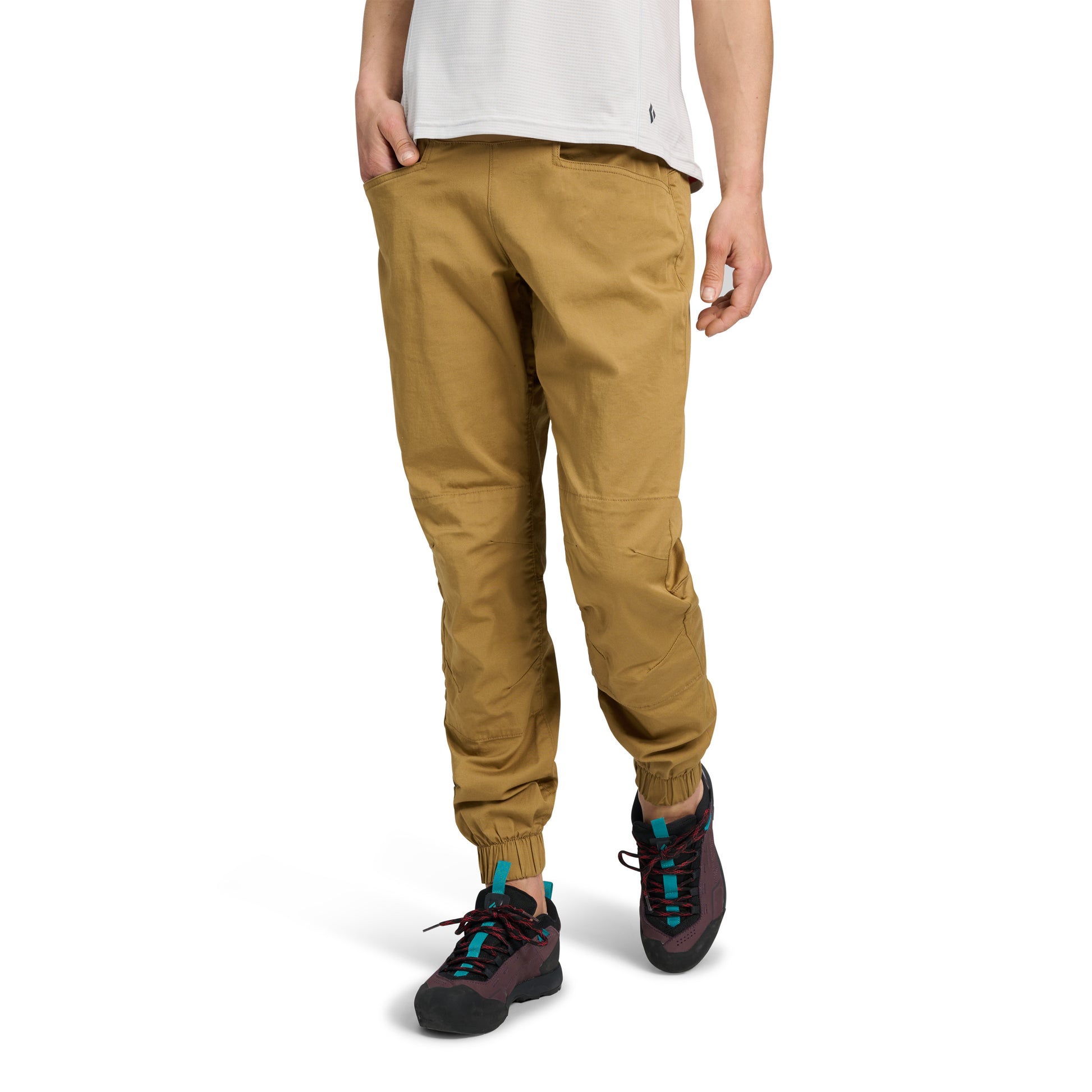 Flax