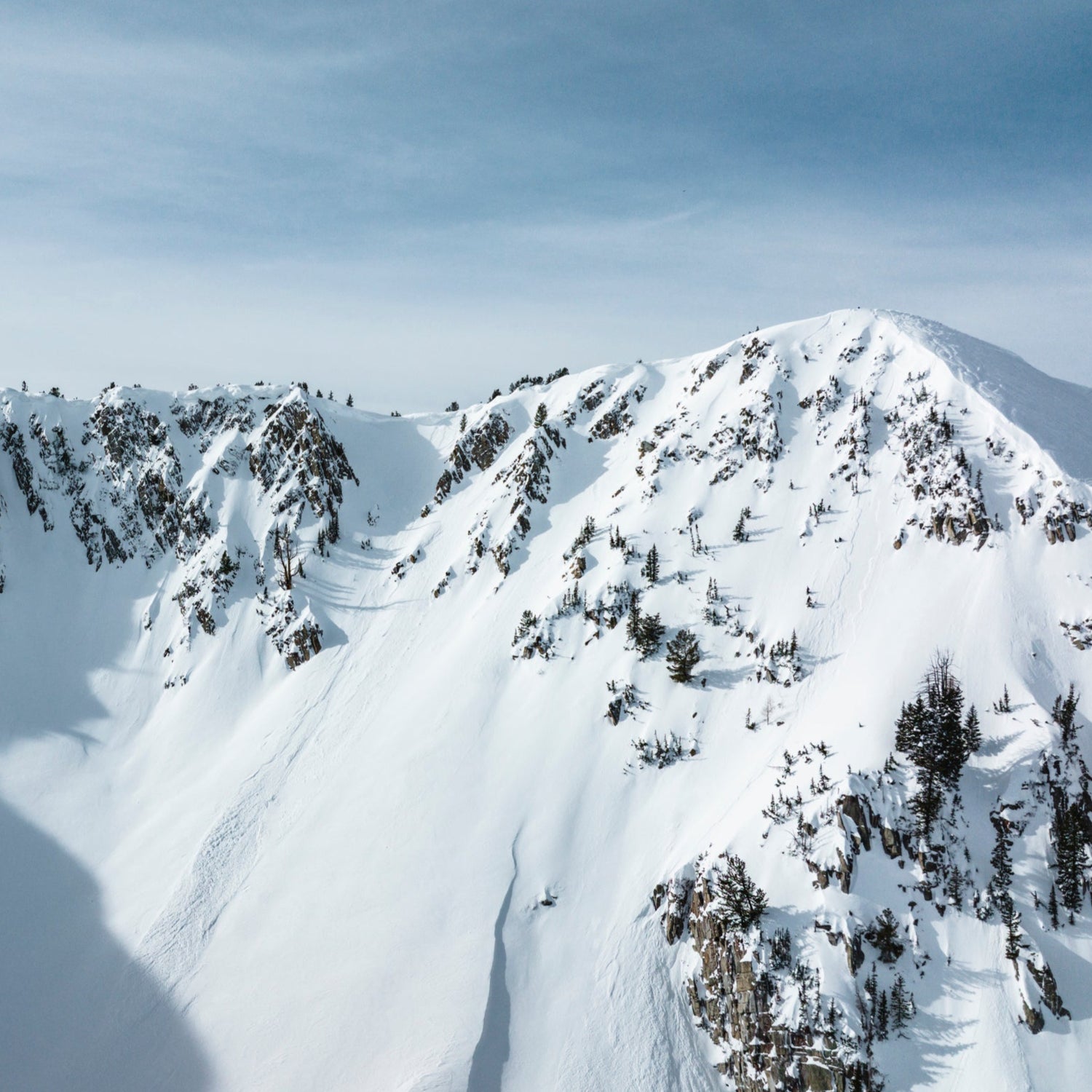 A dreamy scene of the snowy Wasatch Mountains.