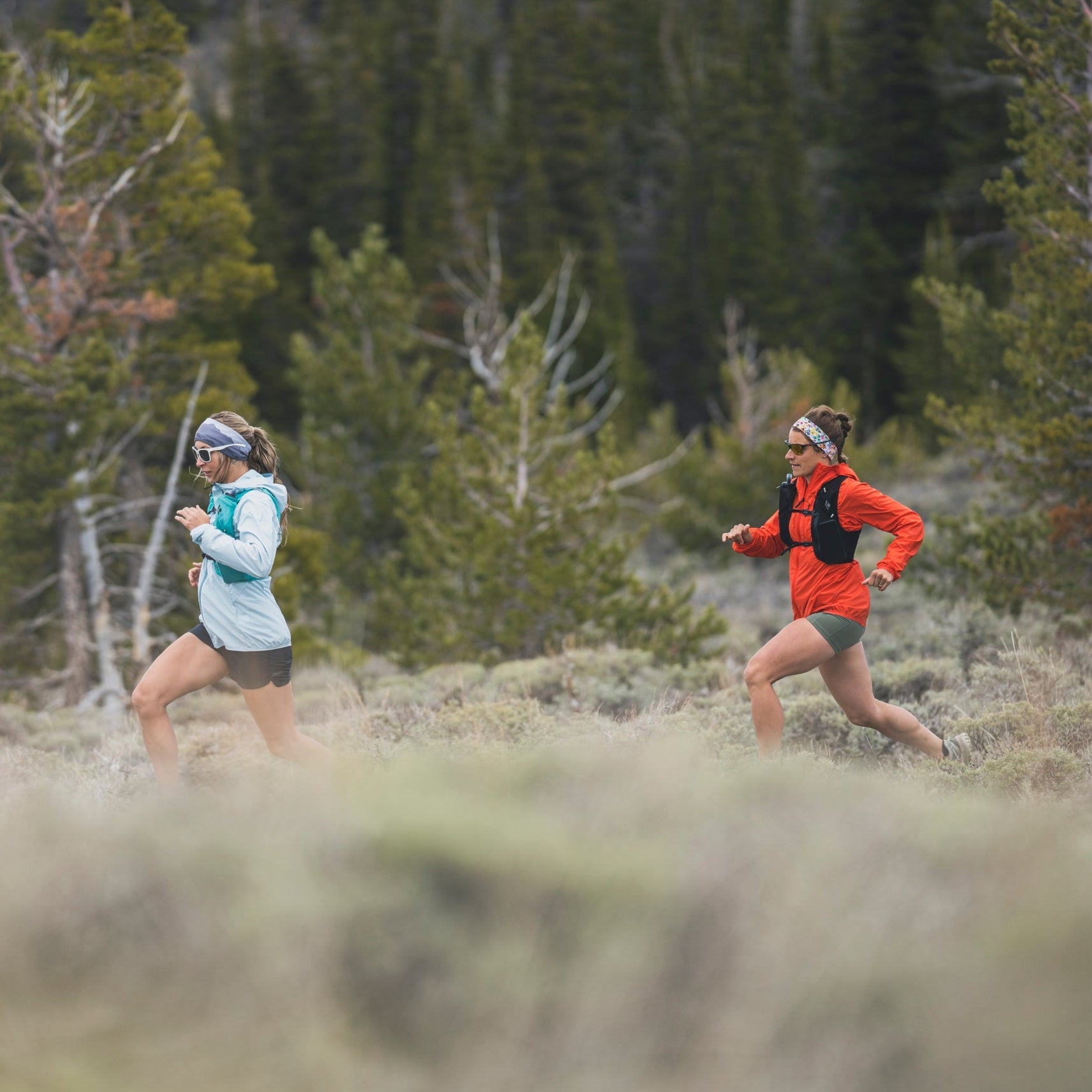 What to Bring on a Trail Run
