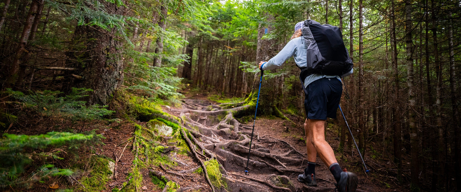 A hiker hikes up a forest path in Maine