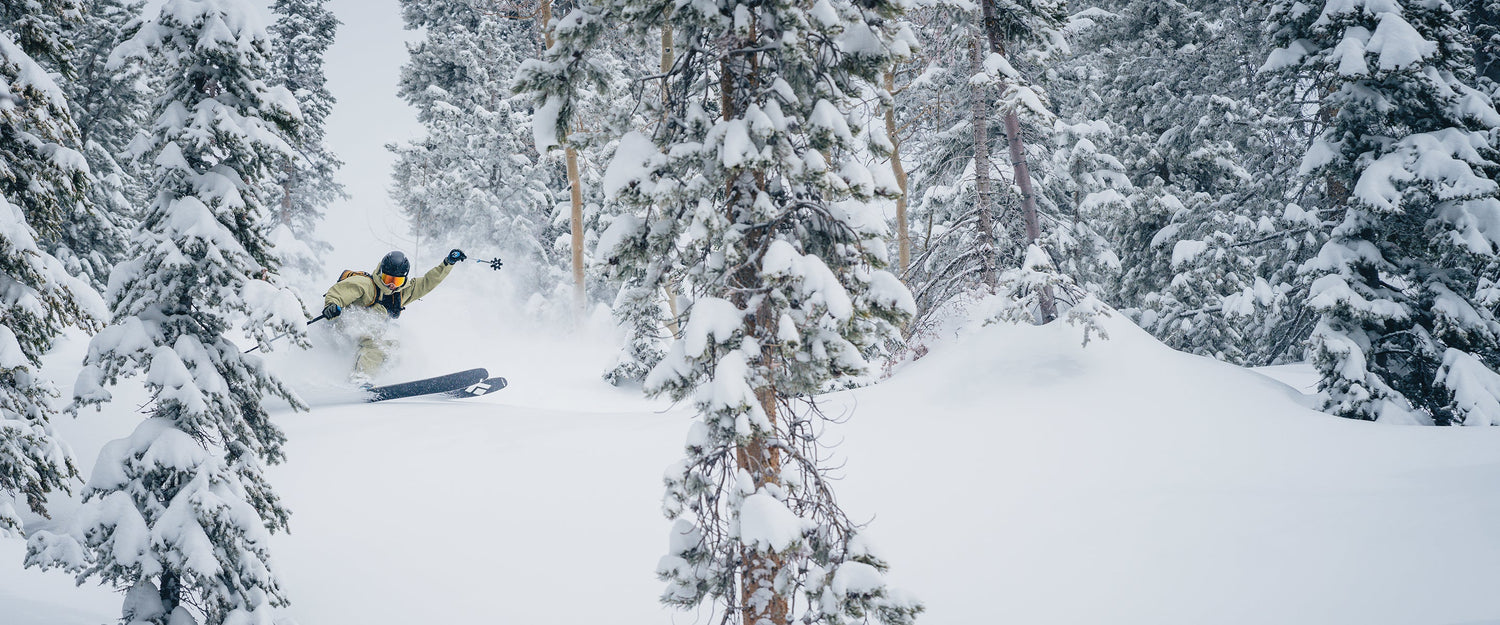 A skier slides through snow laden trees