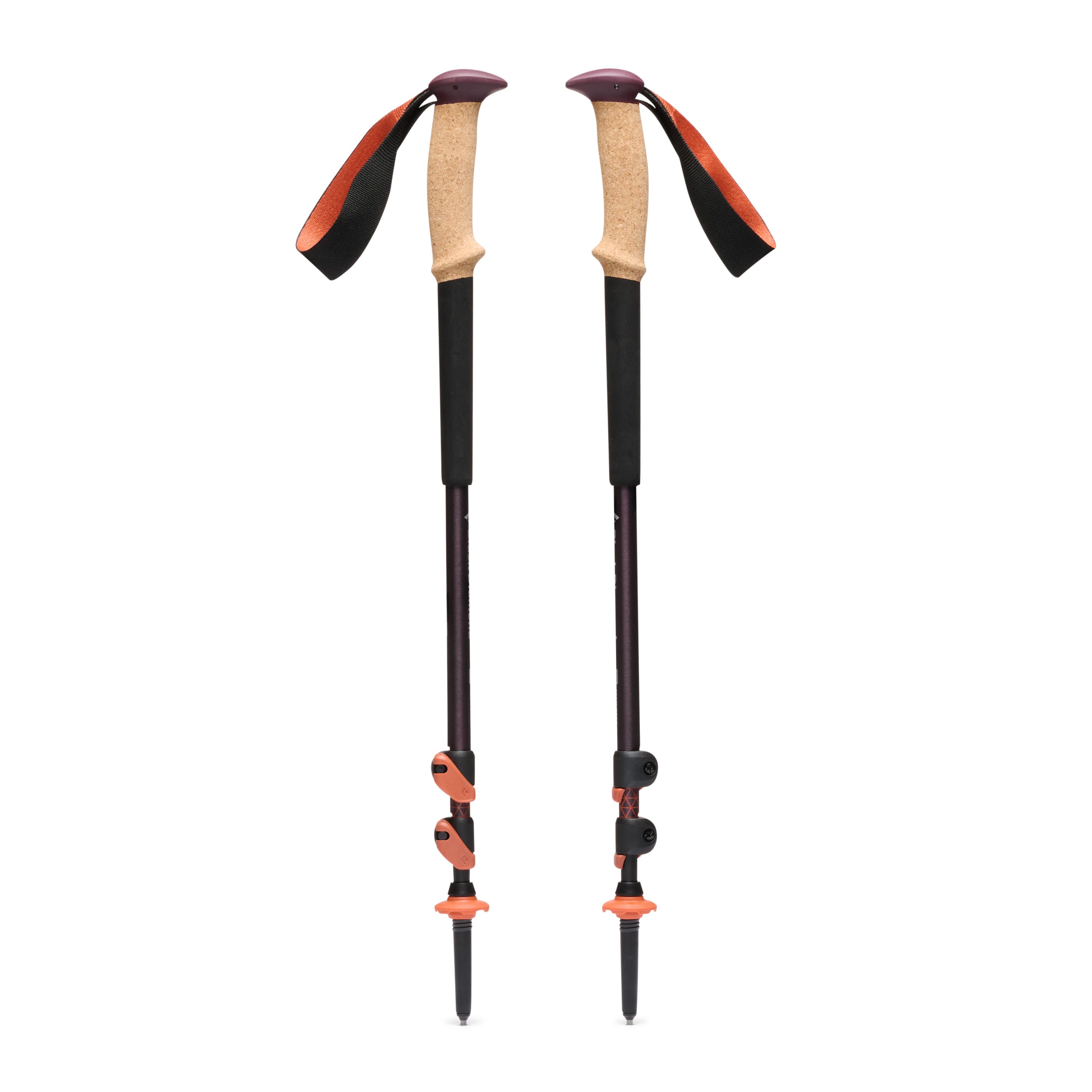 //blackdiamondequipment.com/cdn/shop/files/110065_6052_Trail_Cork_Trekking_Poles_Fig_01