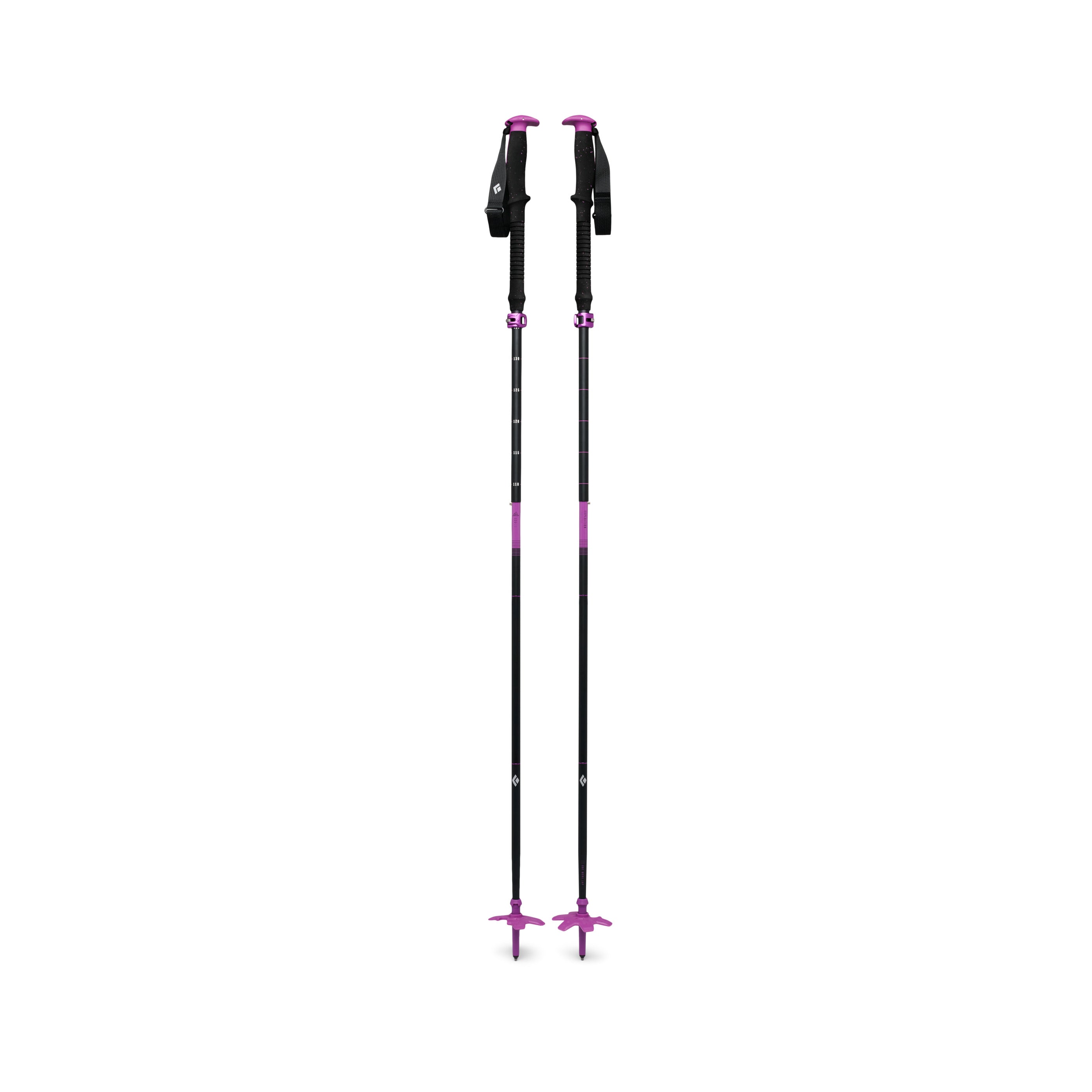 Piton Purple 
