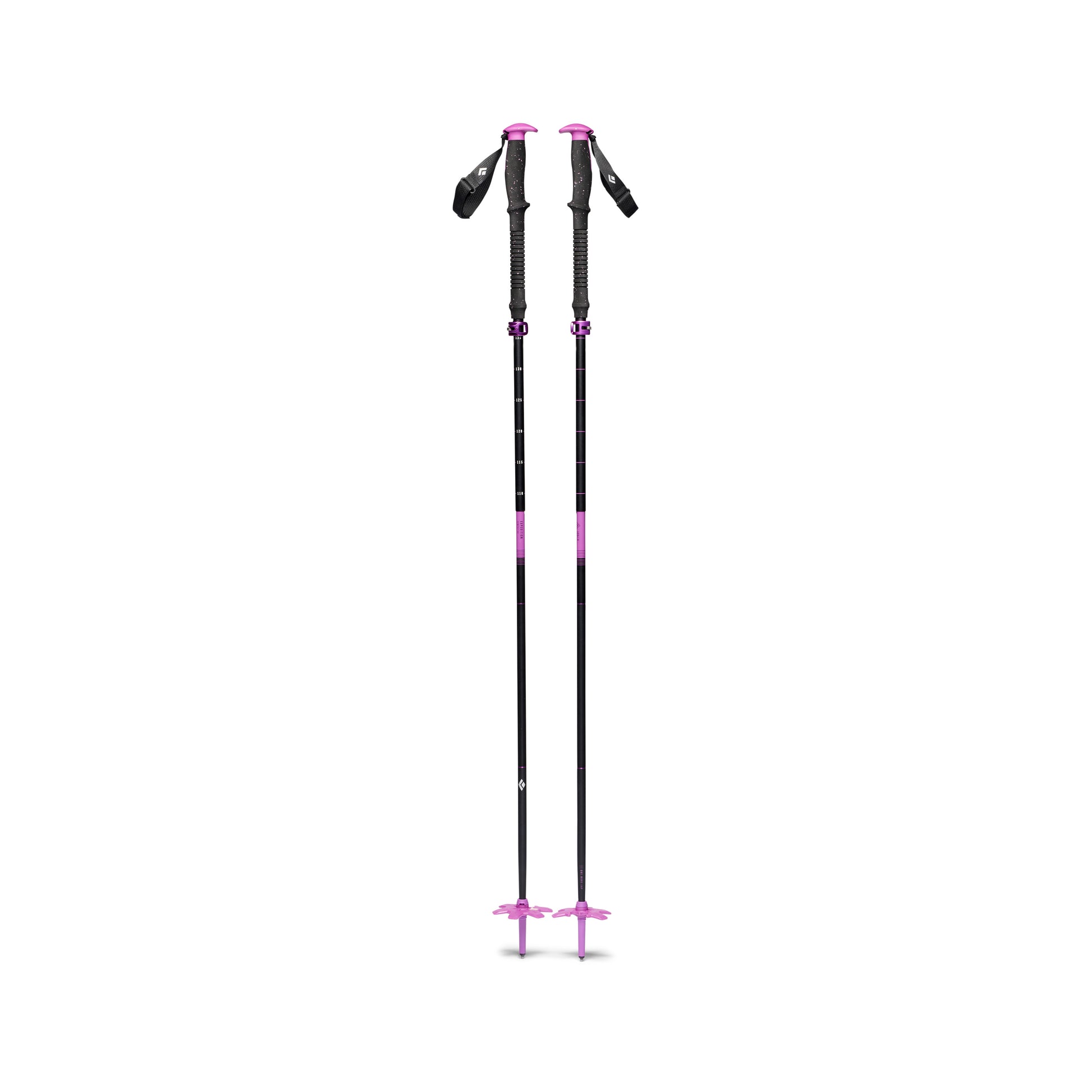 Piton Purple