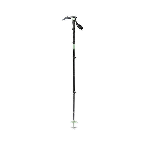 Black Diamond ポール ストック　 EXPEDITION 3 Black Diamond Expedition 3 Ski Poles | The BackCountry in