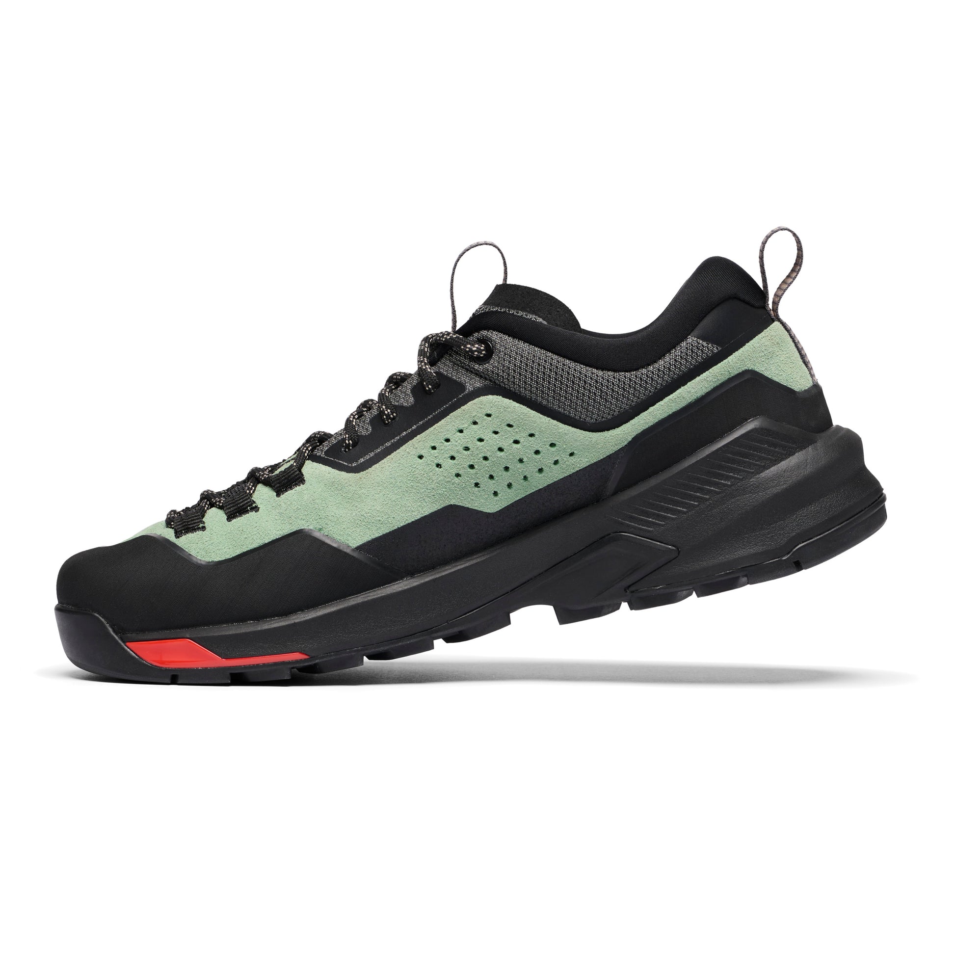 Desert Sage-Black