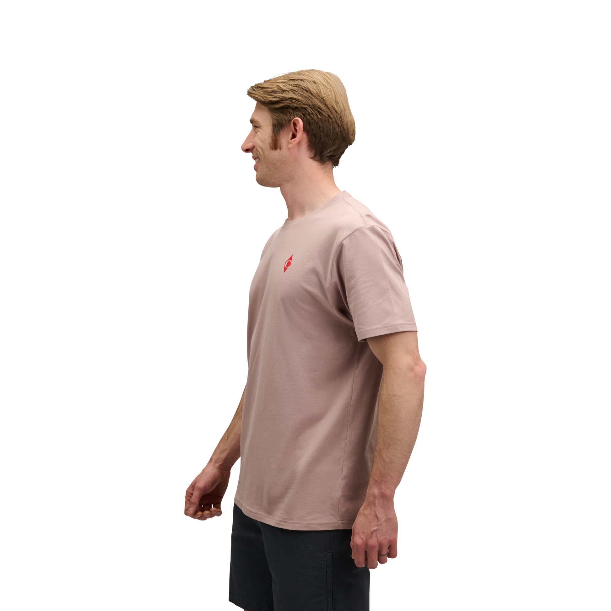 Pale Mauve