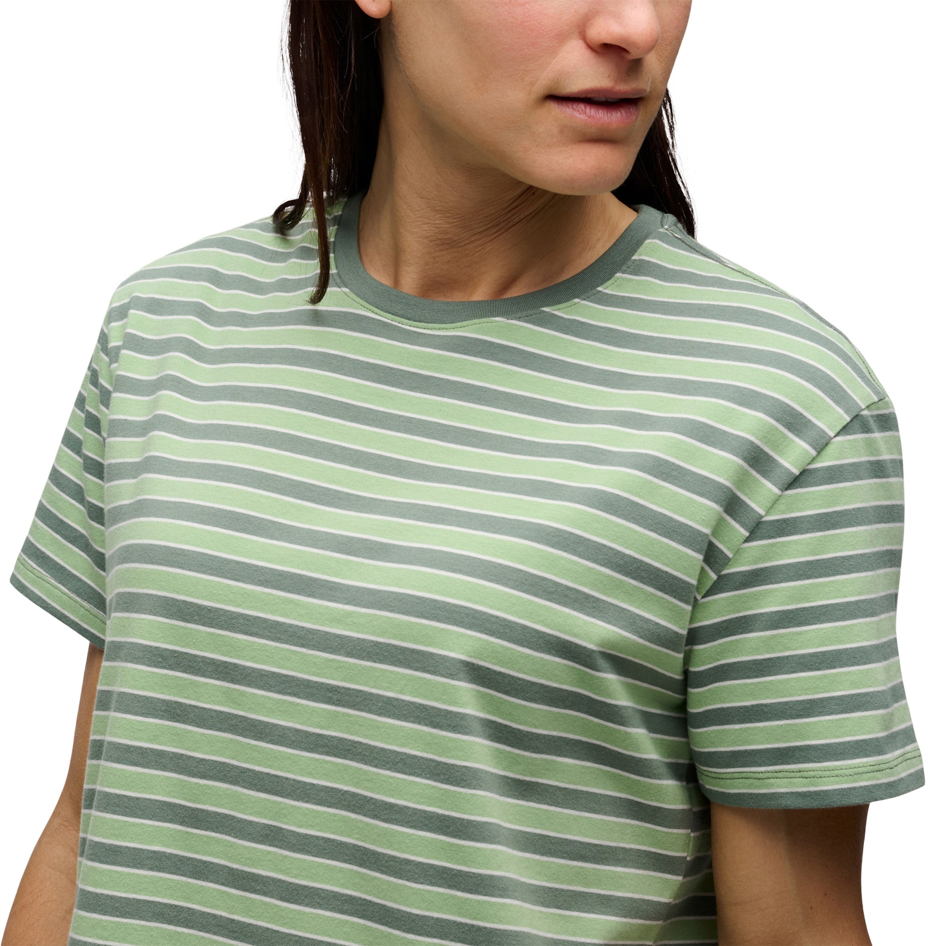 Laurel Green-Desert Sage-Alloy