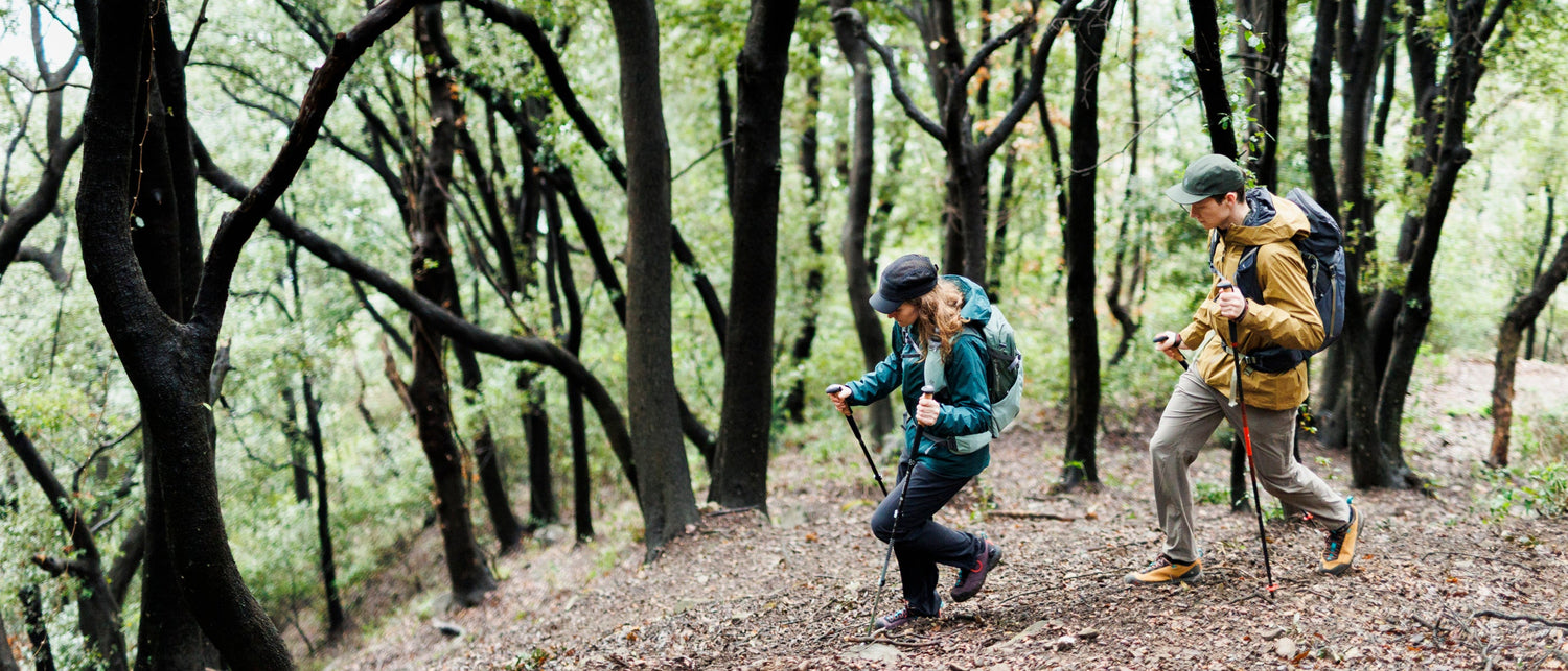 Two hikers in a green forest. 