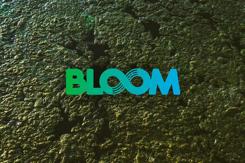 The bloom logo on algea.