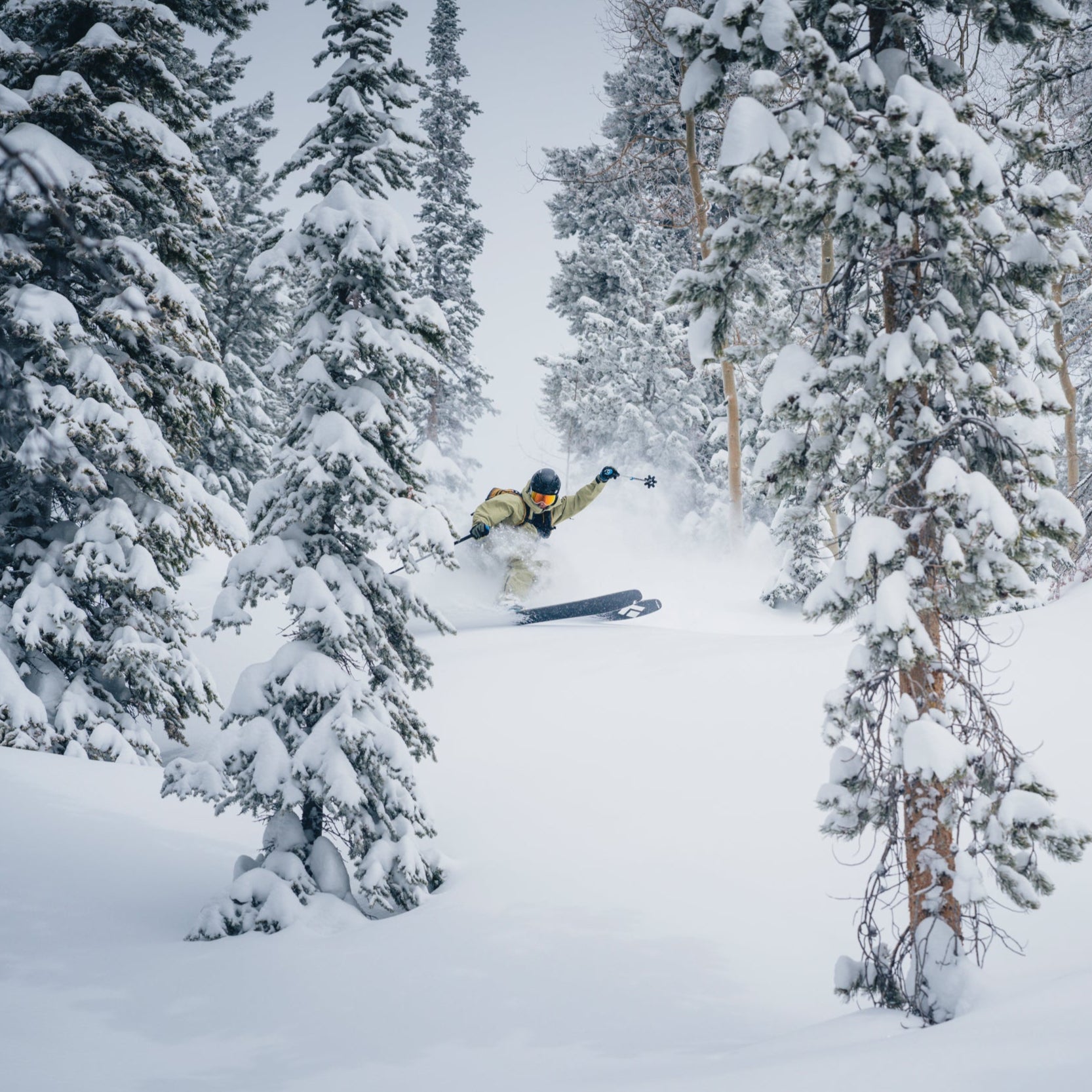 Ski Climbing Skins - Best Climbing Skins For Skis | Black