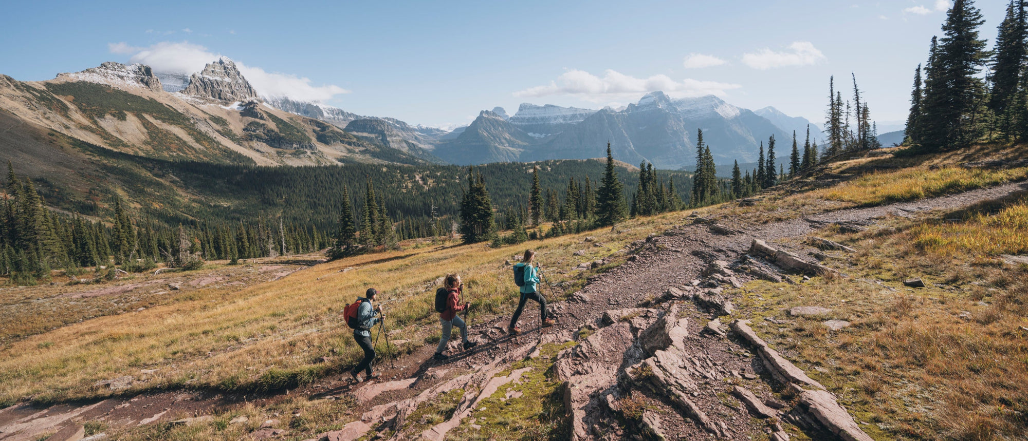 Three hikers use BD trekking poles in Montana.