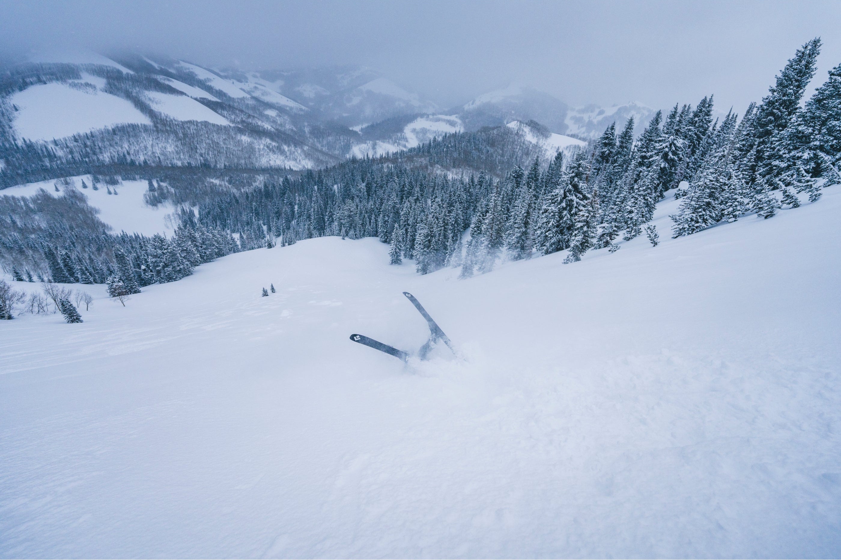 Winter Yard Sale – 20% Off Ski Gear, Skis & Snow Safety | Black