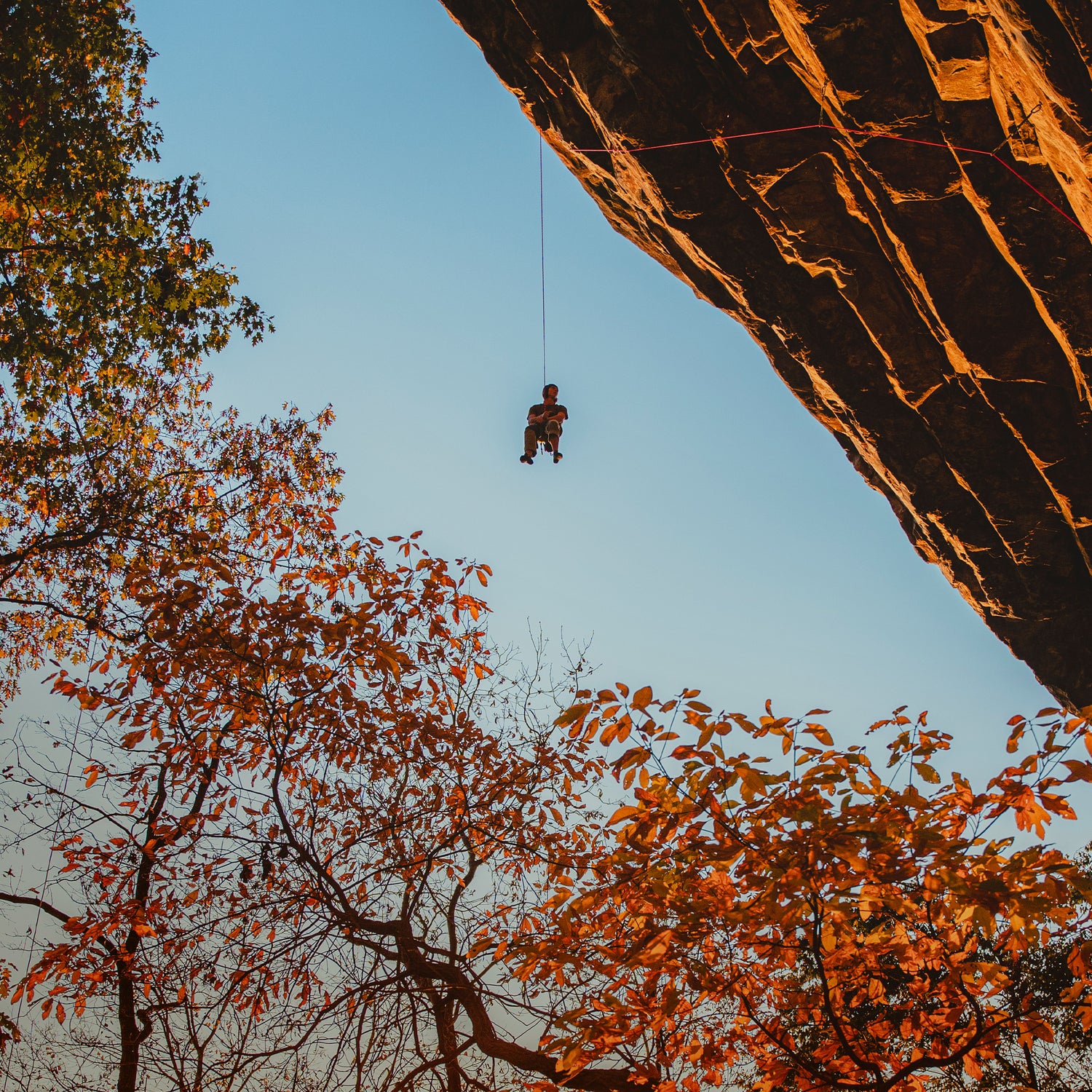 Climbing Ropes - Best Ropes For Climbing | Black Diamond