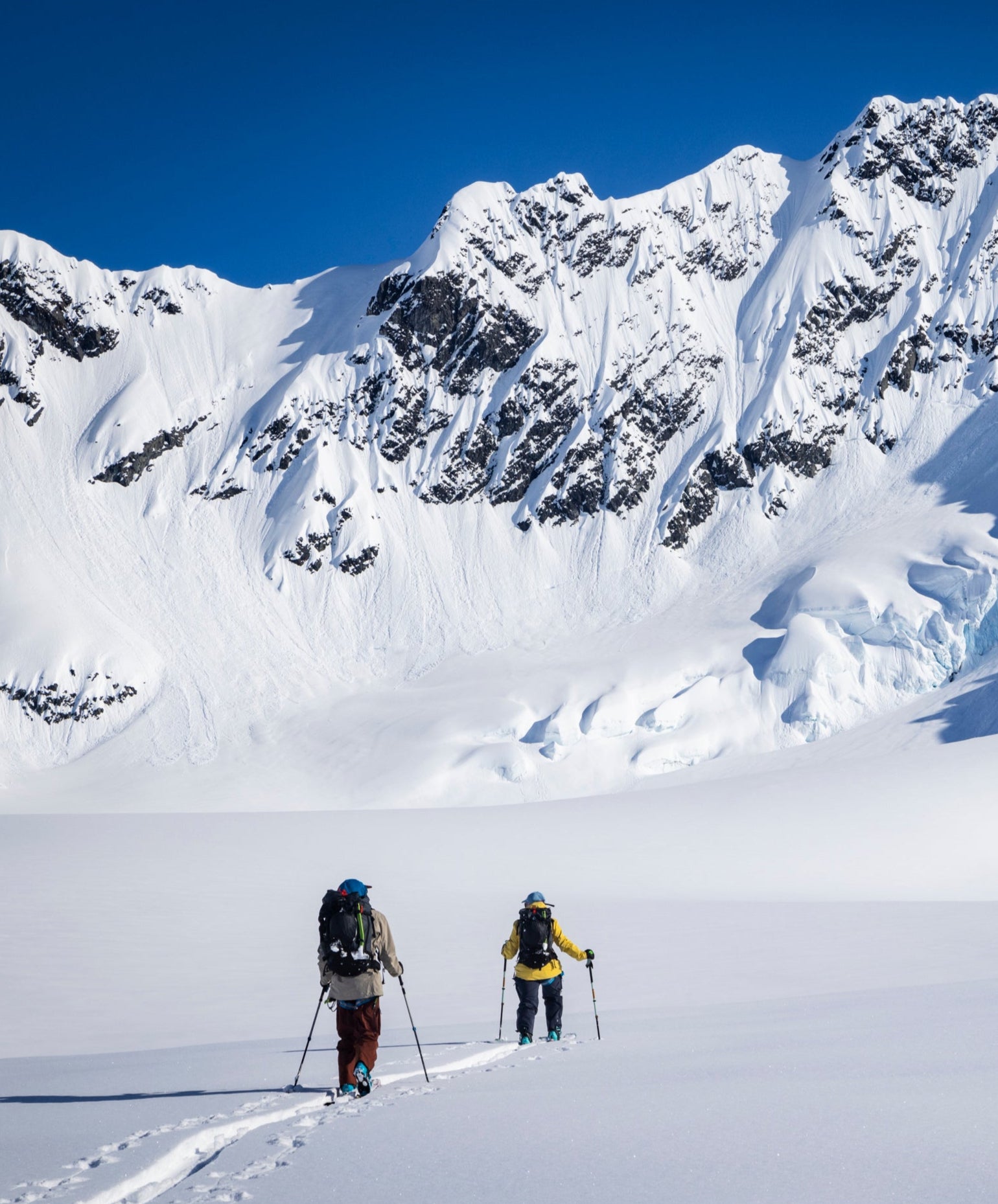 新品 Ascension Nylonクライミングスキン Ascension Skins – Black Diamond