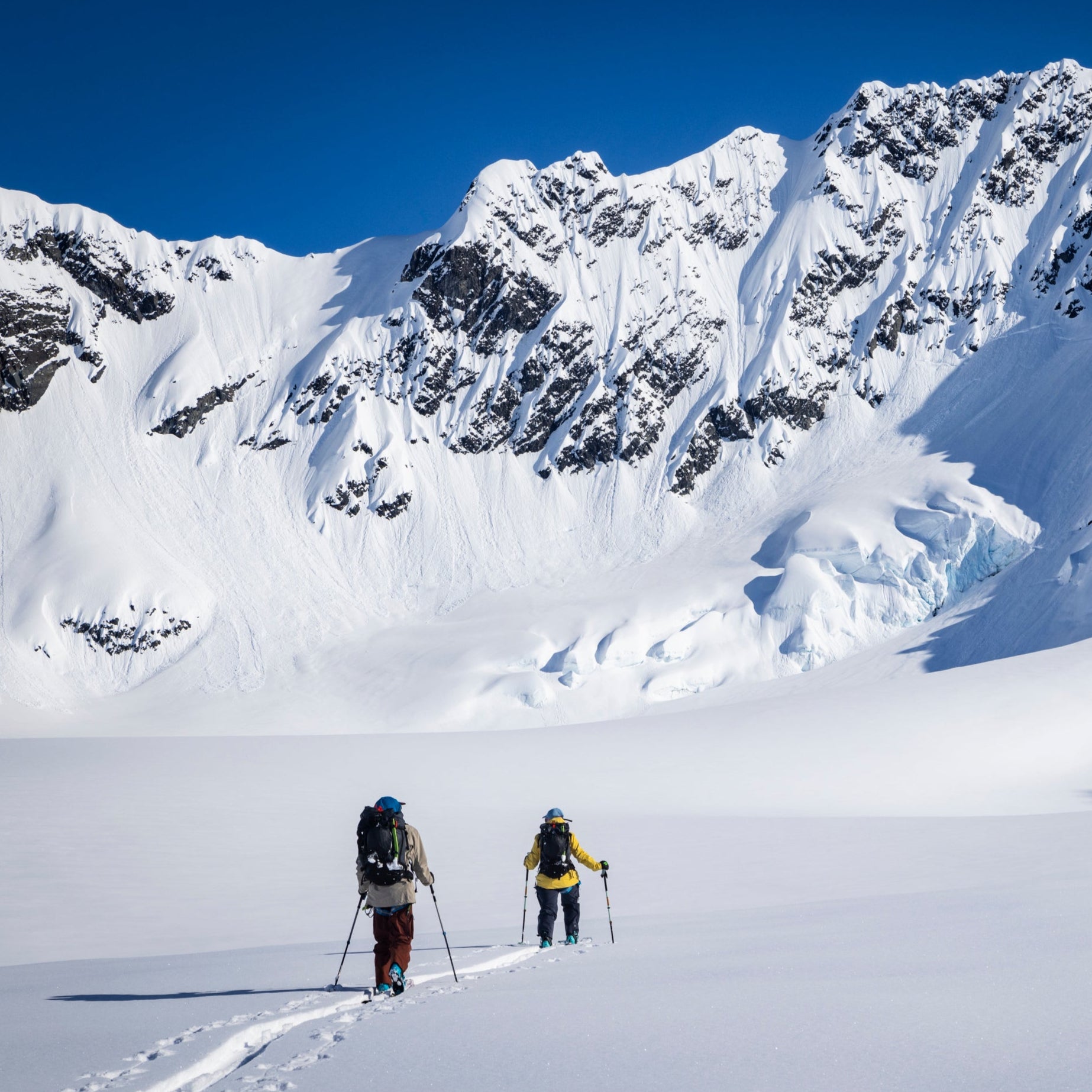 極美品 ブラックダイヤモンド   SAW Pro スノーソー プロ ノコギリ バックカントリー BC アウトドア 極美品 ブラックダイヤモンド Black Diamond SNOW SAW Pro