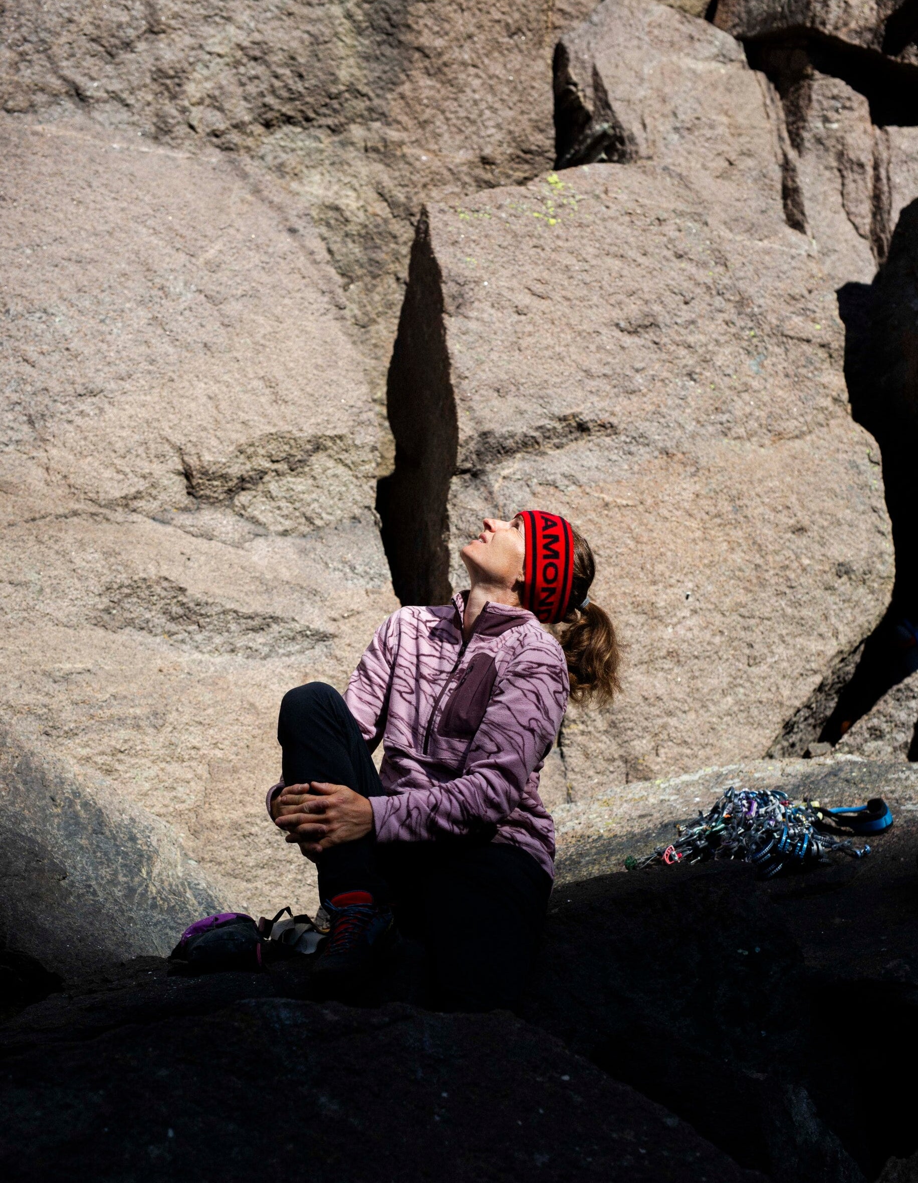 Relief-Meadow Rose-Fig
