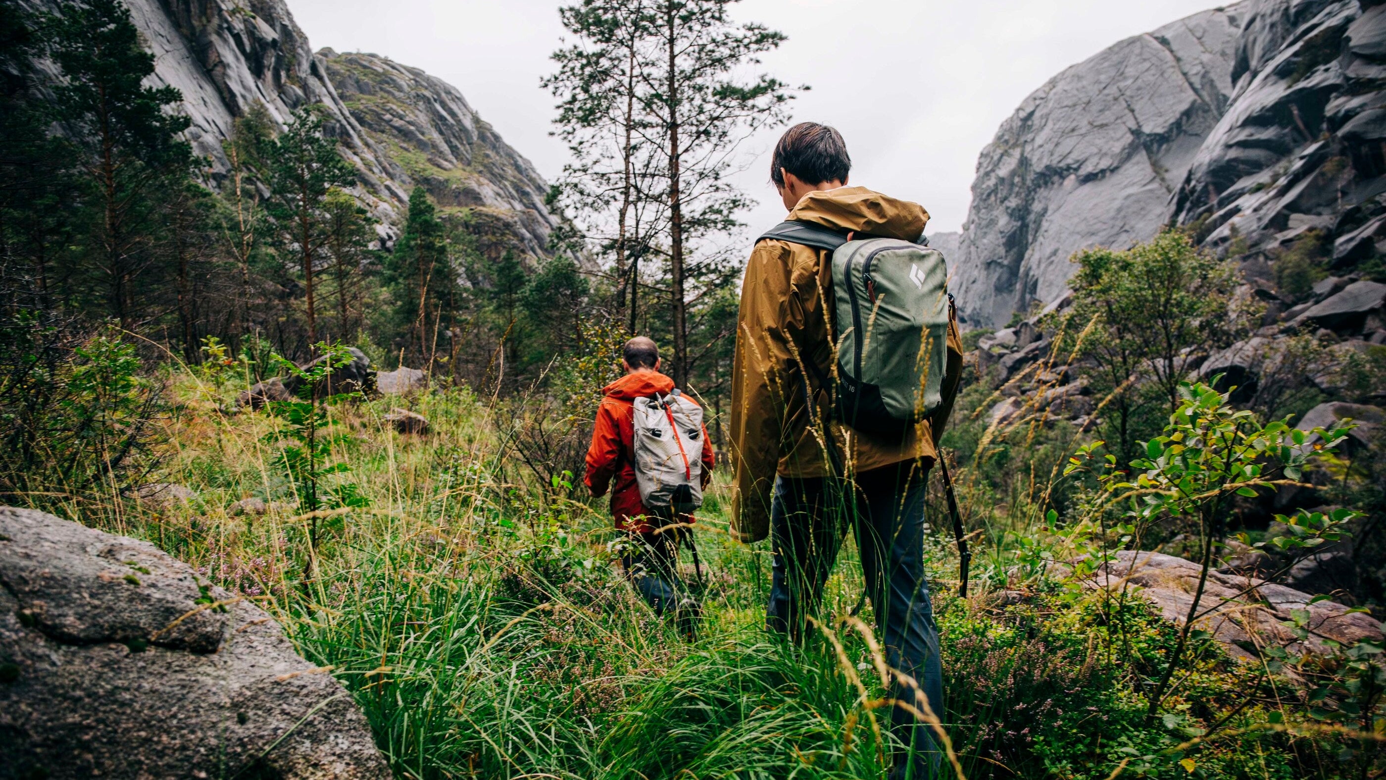 Backpacks & Bags