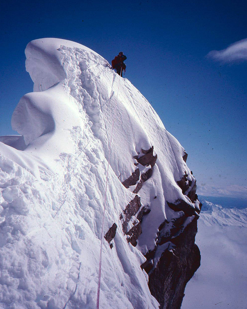 FORGED ON MT. HUNTER
